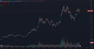 Rast hodnoty kryptomien ako investičná príležitosť