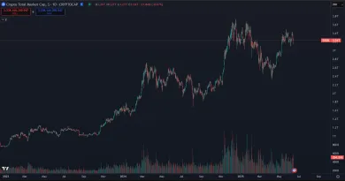 Rast hodnoty kryptomien ako investičná príležitosť