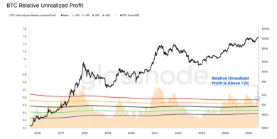 Relatívny nerealizovaný zisk BTC