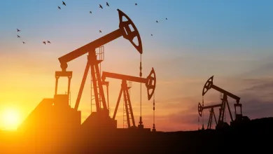 Ropa útočí na tohtoročné maximum