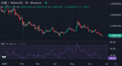 Shiba inu trhová cena