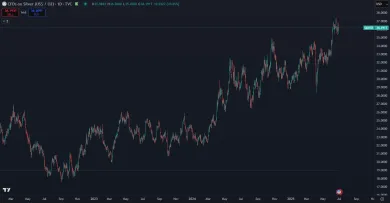 Striebro rastie už druhý rok