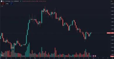 SUI ukončuje korekciu