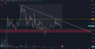 XRP kleslo od maxima o 34 %