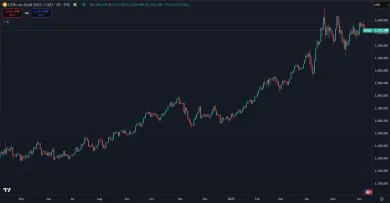 Zlato posledné roky výrazne posilnilo