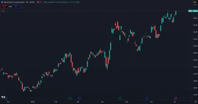 Akcie NEM a ich zhodnotenie