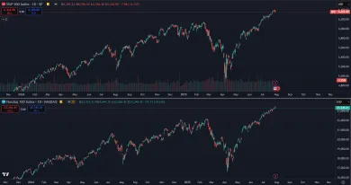 Americké akcie sú na maxime