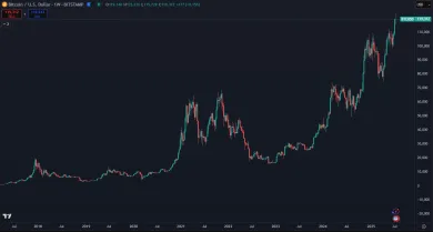 Bitcoin a jeho dlhodobé zhodnotenie
