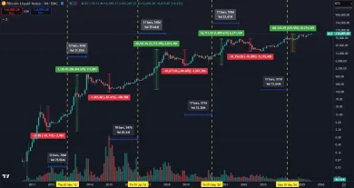 Bitcoin a jeho ziskovosť počas cyklov
