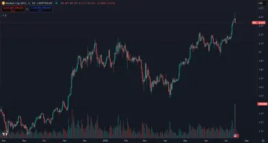 Bitcoin a rast trhovej kapitalizácie