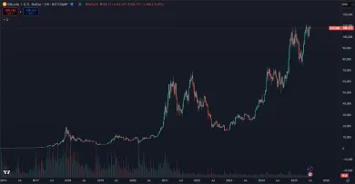 Bitcoin je v dlhodobom raste