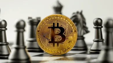 Bitcoin kraľuje súčasnému cyklu