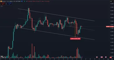 Bitcoin nedávno padol o 5 000 dolárov