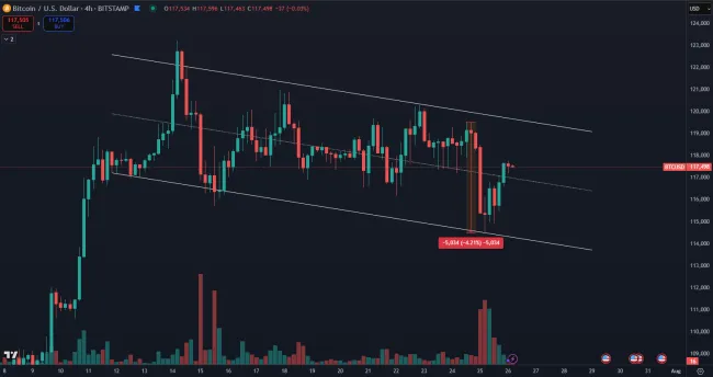 Bitcoin nedávno padol o 5 000 dolárov