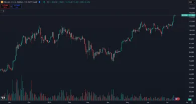 Bitcoin prekonal svoje maximum