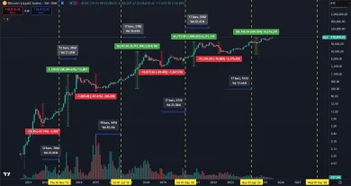 Dlhodobý cenový vývoj Bitcoinu
