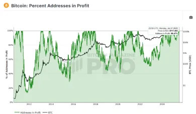 Graf podielu Bitcoin peňaženiek v zisku