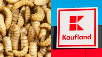 Kaufland získal ocenenie za recykláciu odpadu
