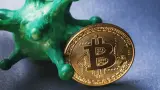 Kúpili sme Bitcoin za 1 000 eur počas pandémie