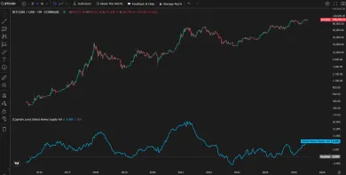 Nárast peňažnej zásoby predpovedá rast Bitcoinu