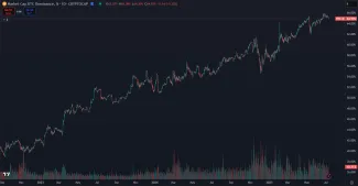 Neustály rast bitcoinovej dominancie