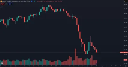 Pád bitcoinovej dominancie