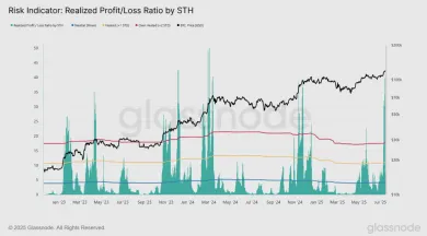 Pomer realizovaného zisku ku strate