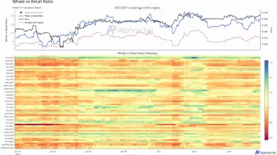 Pomer veľkých a malých investorov
