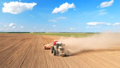 Pozemky po reštrukturalizácií