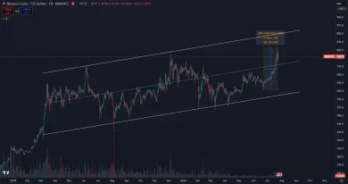 Rast Binance coin na nový vrchol