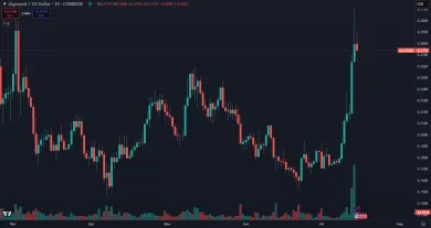 Rast kryptomeny ALGO