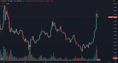 Rast kryptomeny HBAR