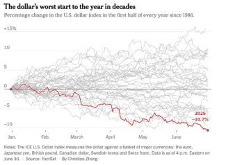 Slabý výkon doláru v roku 2025
