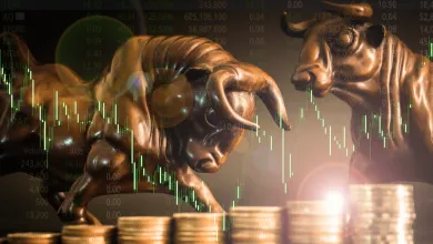 Solana dominuje v príjmoch