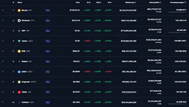 Vždy uprednostnite najväčšie kryptomeny