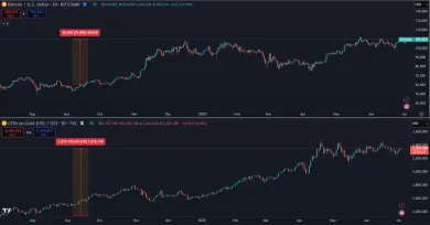 Zhodnotenie Bitcoinu a zlata za posledný rok