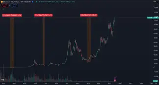 Zhodnotenie Bitcoinu za dlhé roky