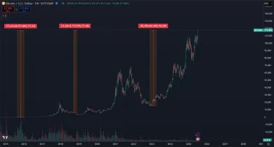 Zhodnotenie Bitcoinu za dlhé roky