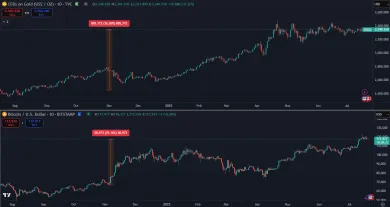 Zhodnotenie zlata a Bitcoinu za posledný rok