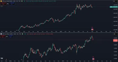 Zlato verzus striebro