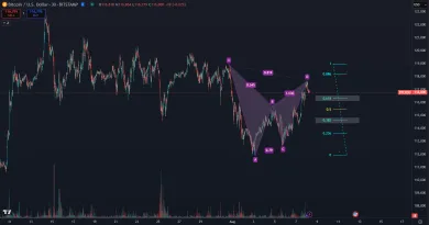 Bitcoin a harmonický pattern