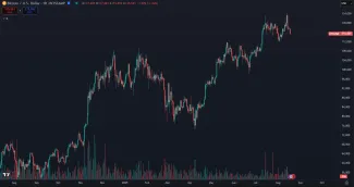 Bitcoin a jeho dlhodobý rast