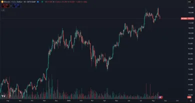 Bitcoin a jeho dlhodobý rast