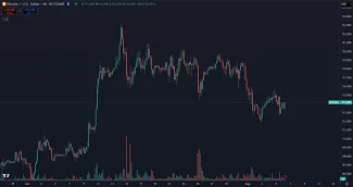 Bitcoin a jeho nedávny pád