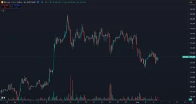 Bitcoin a jeho nedávny pád