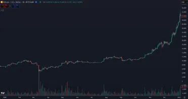 Bitcoin a jeho vývoj ceny v roku 2020