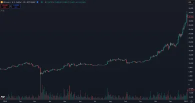 Bitcoin a jeho vývoj ceny v roku 2020