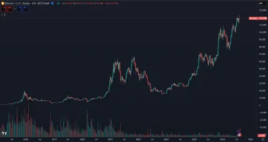 Bitcoin dlhodobo rastie