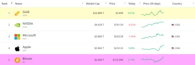 Bitcoin je 5 najväčšie aktívum na svete