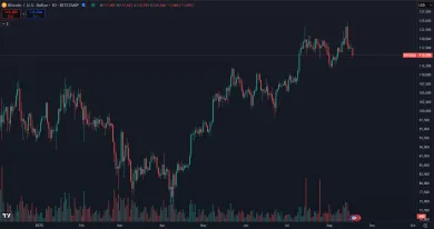 Bitcoin je základ portfólia